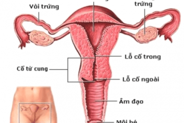 chụp vòi trứng có nguy hiểm không 